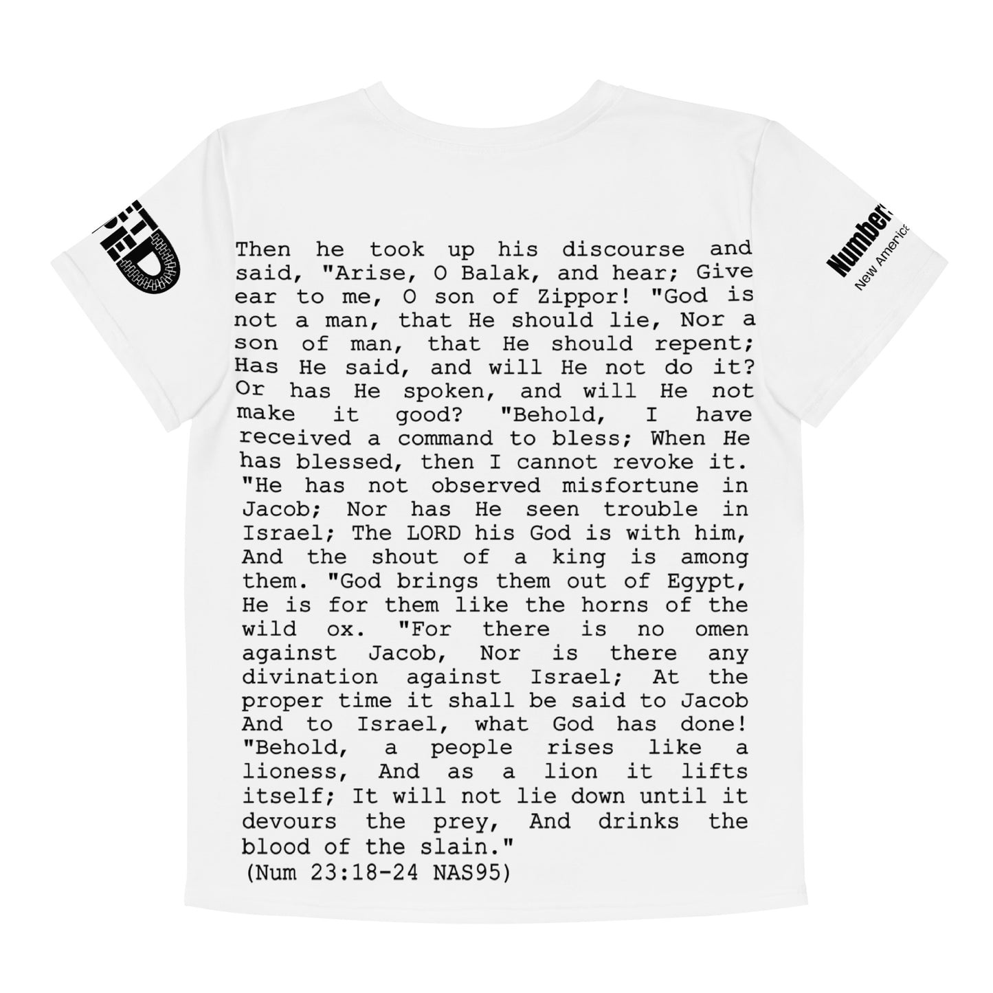 Balaam's Oracle II Youth crew neck t-shirt