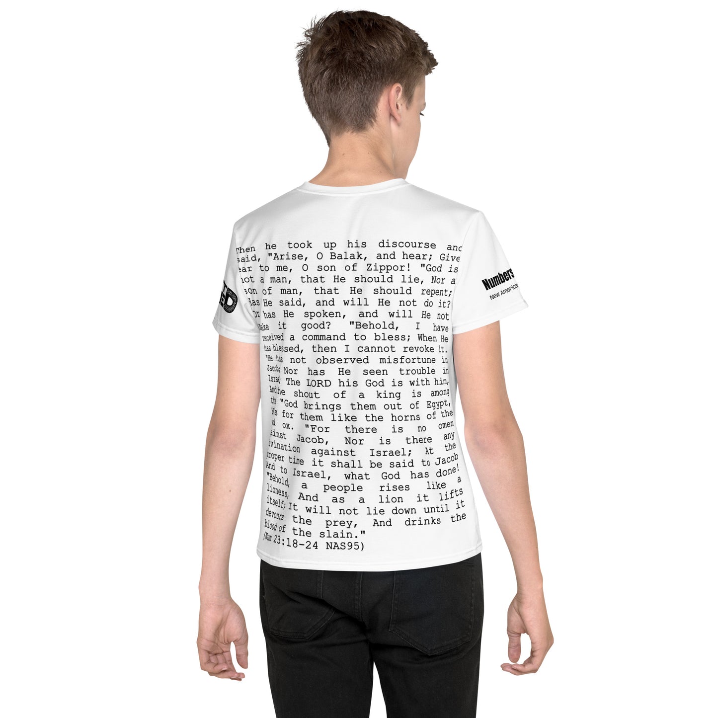 Balaam's Oracle II Youth crew neck t-shirt