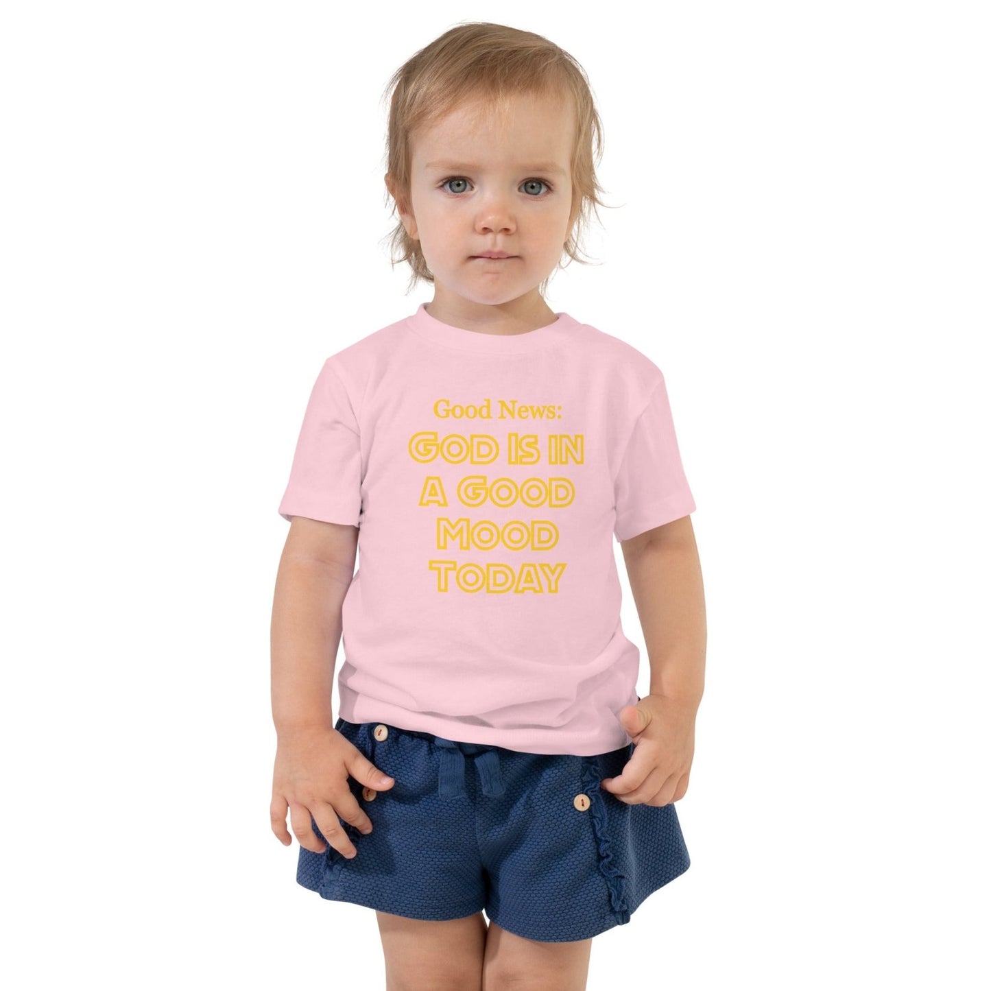 Good Mood Toddler Short Sleeve Tee - Get Zipped