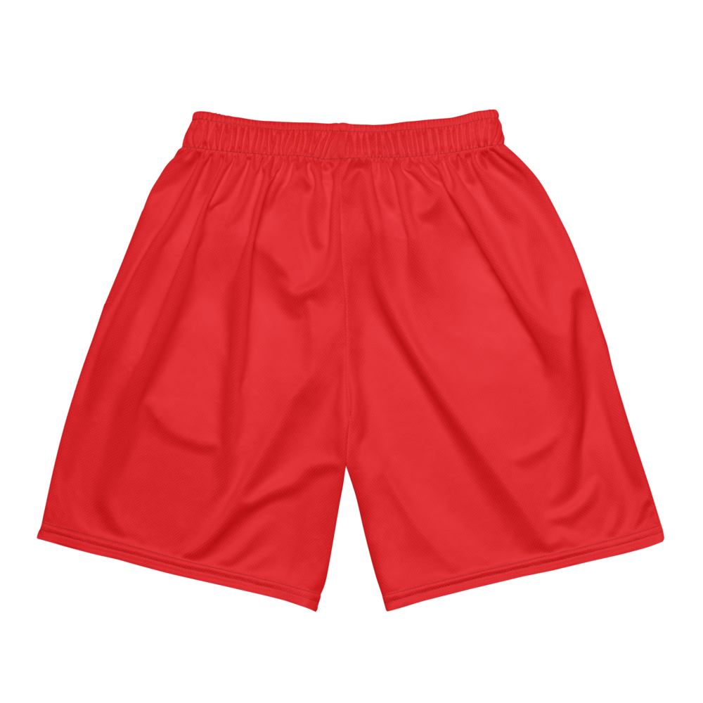 +Male mesh shorts - Get Zipped